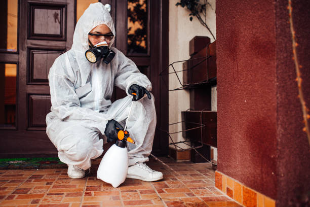 Multi-Unit and Airbnb Bed Bug Protocol in Rancho Tehama Reserve