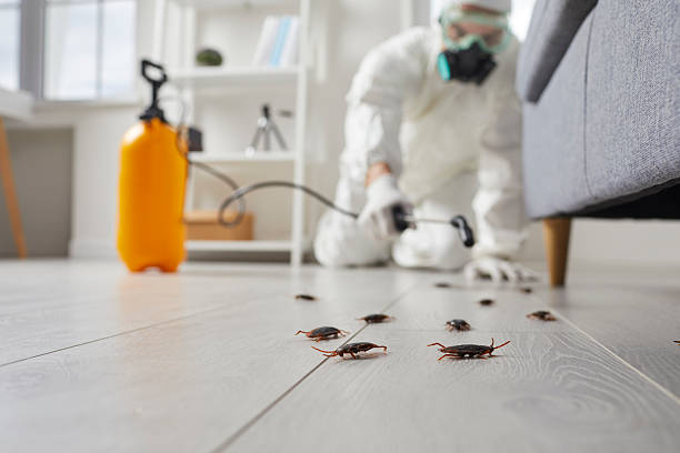 Post-Treatment Bed Bug Interceptor Monitoring in Rancho Tehama Reserve